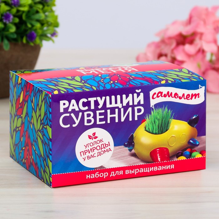 Растущий сувенир в горшочке "Самолет"