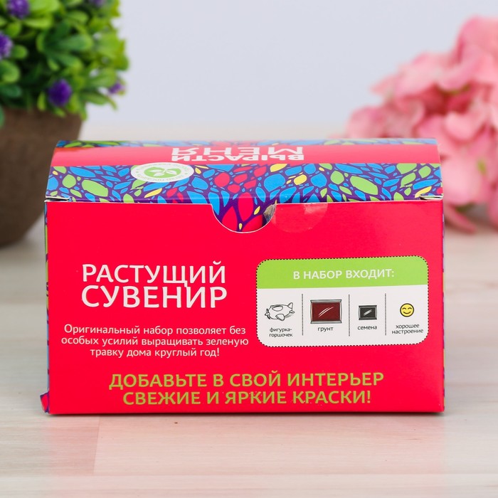 Растущий сувенир в горшочке "Самолет"