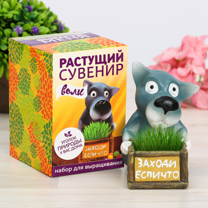 Растущий сувенир в горшочке "Волк"