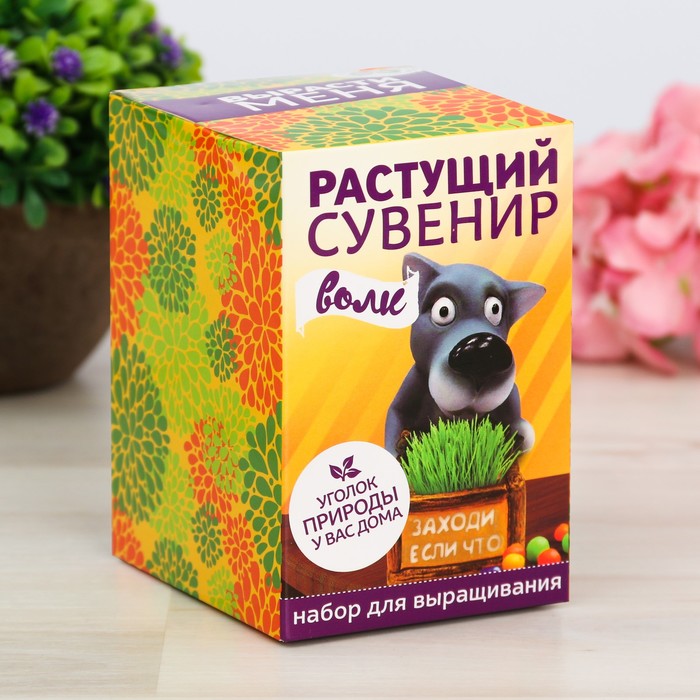 Растущий сувенир в горшочке "Волк"