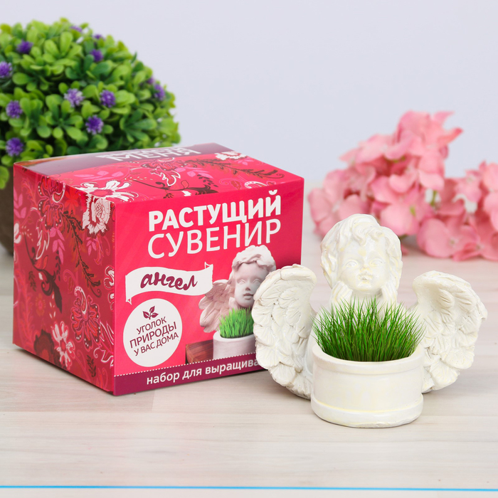 Растущий сувенир в горшочке "Ангел"