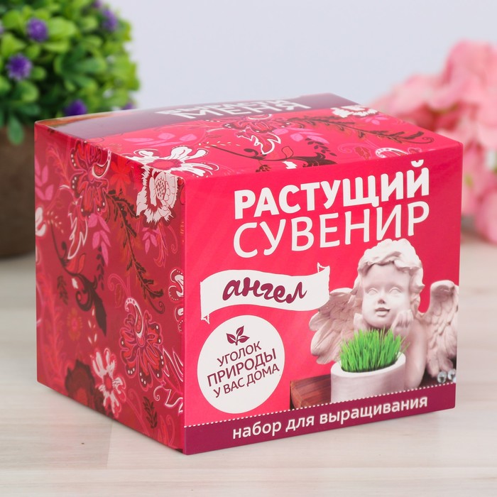 Растущий сувенир в горшочке "Ангел"