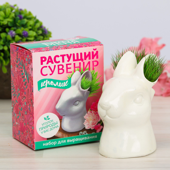 Растущий сувенир в горшочке "Кролик"
