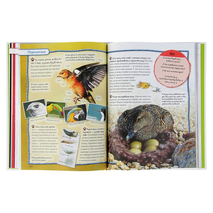 Энциклопедия интересных фактов. Обо всем на свете