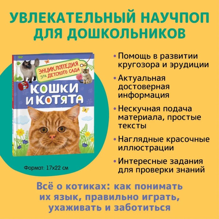 Энциклопедия для детского сада «Кошки и котята»