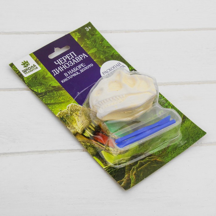 Набор археолога серия череп динозавра "Диплодок" + кисточка, долото