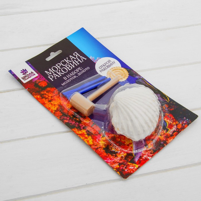 Набор археолога серия морская раковина "Моллюск" + молоток, долото