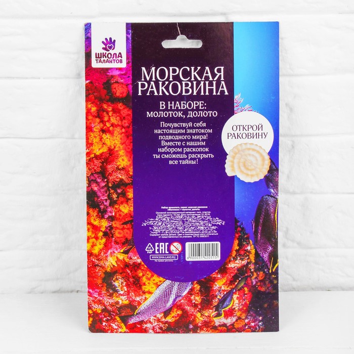 Набор археолога серия морская раковина "Моллюск" + молоток, долото