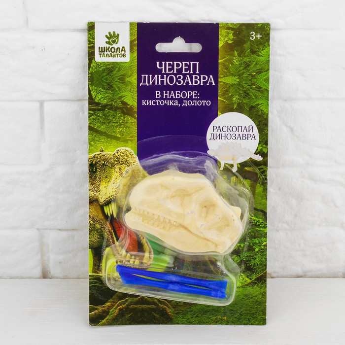 Набор археолога серия череп динозавра &quot;Стегозавр&quot; + кисточка, долото