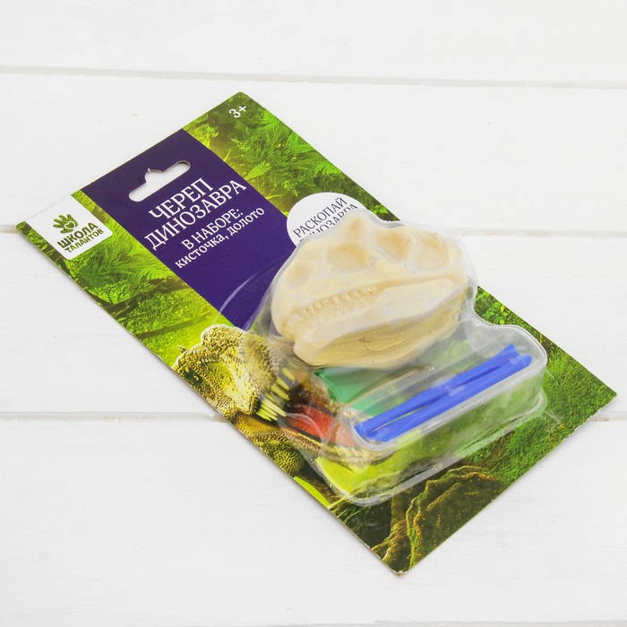 Набор археолога серия череп динозавра "Стегозавр" + кисточка, долото