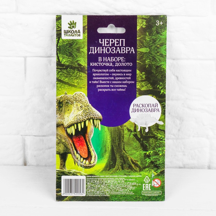 Набор археолога серия череп динозавра "Стегозавр" + кисточка, долото
