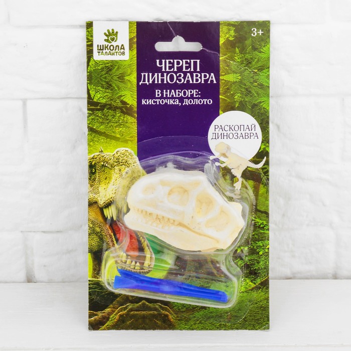 Набор археолога серия череп динозавра "Тиранозавр" + кисточка, долото
