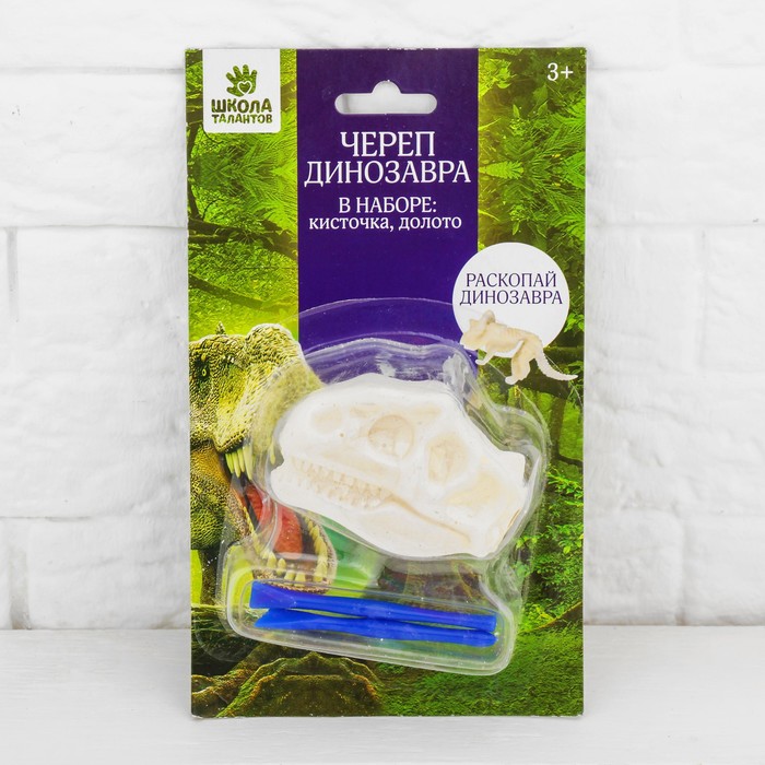 Набор археолога серия череп динозавра "Протоцератопс" + кисточка, долото