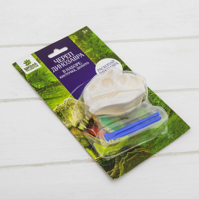 Набор археолога серия череп динозавра "Протоцератопс" + кисточка, долото