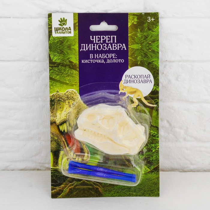 Набор археолога серия череп динозавра "Стегоцерас" + кисточка, долото