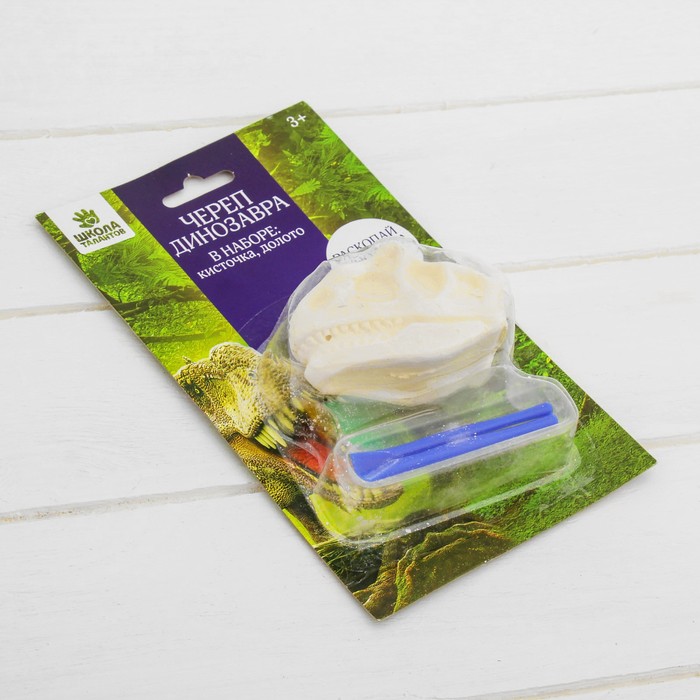 Набор археолога серия череп динозавра "Стегоцерас" + кисточка, долото