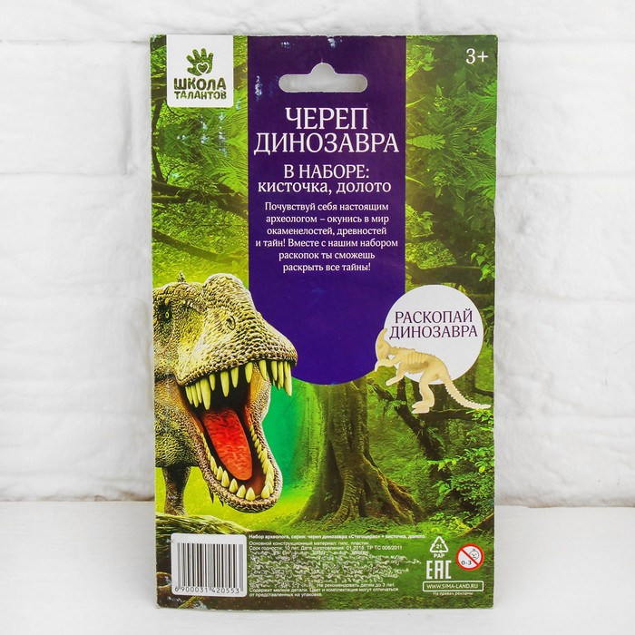 Набор археолога серия череп динозавра "Стегоцерас" + кисточка, долото