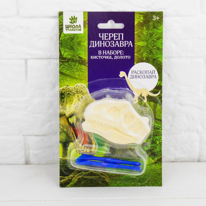 Набор археолога серия череп динозавра "Сейсмозавр" + кисточка, долото