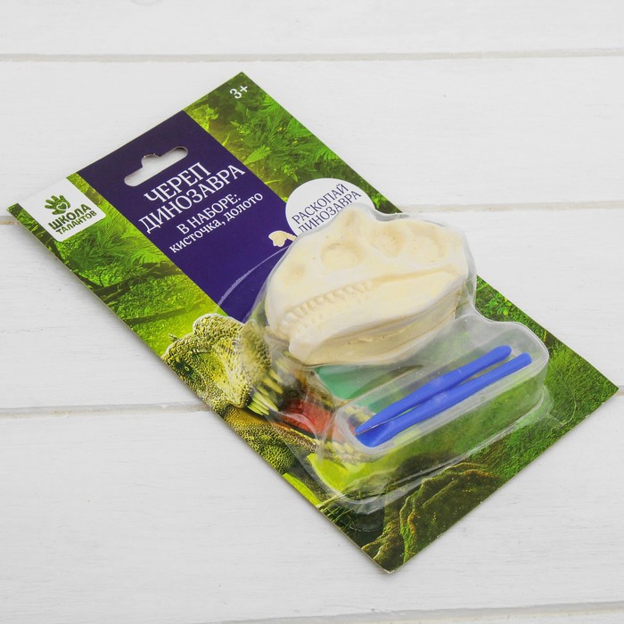 Набор археолога серия череп динозавра "Сейсмозавр" + кисточка, долото