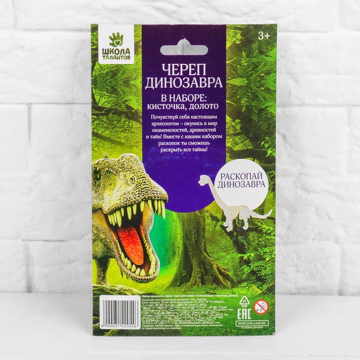 Набор археолога серия череп динозавра "Сейсмозавр" + кисточка, долото