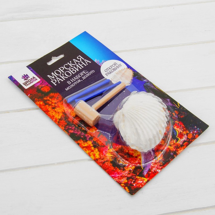 Набор археолога серия морская раковина "Трилобит" + молоток, долото