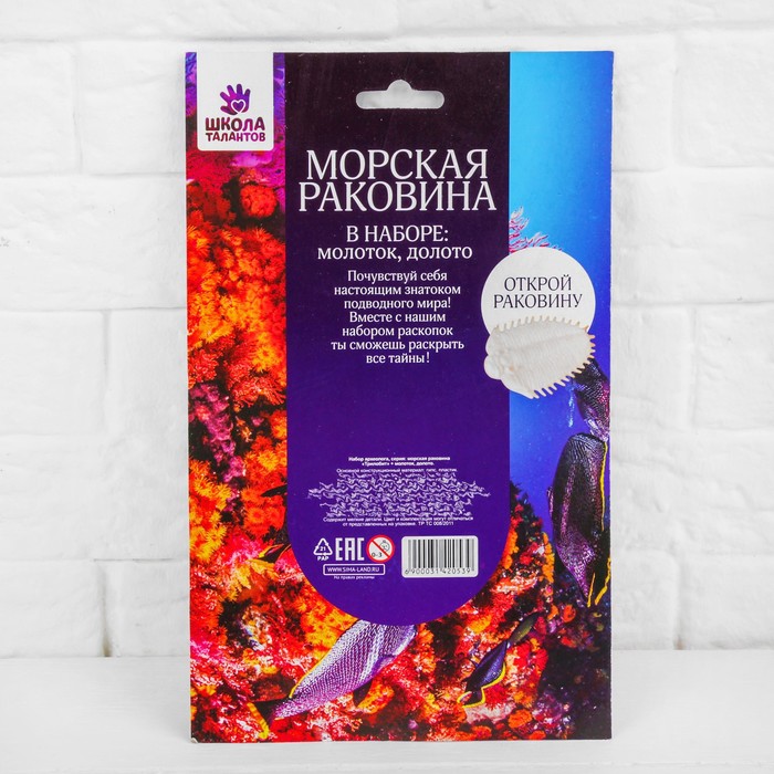 Набор археолога серия морская раковина "Трилобит" + молоток, долото