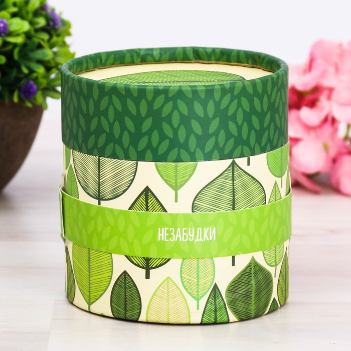 Растущий сувенир "Гармонии и красоты", незабудки