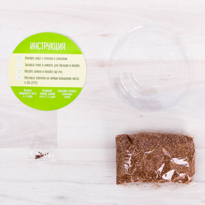 Растущий сувенир "Мечтай и вдохновляйся", лаванда