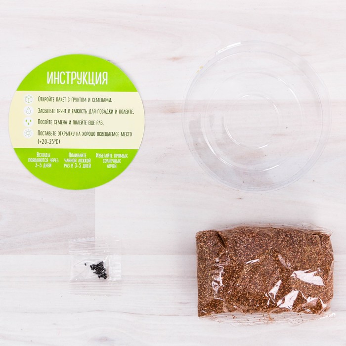 Растущий сувенир "Улыбайся каждому дню", анютины глазки