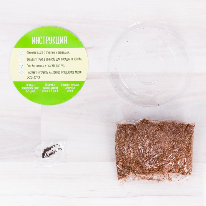 Растущий сувенир "Радуйся жизни", ромашка