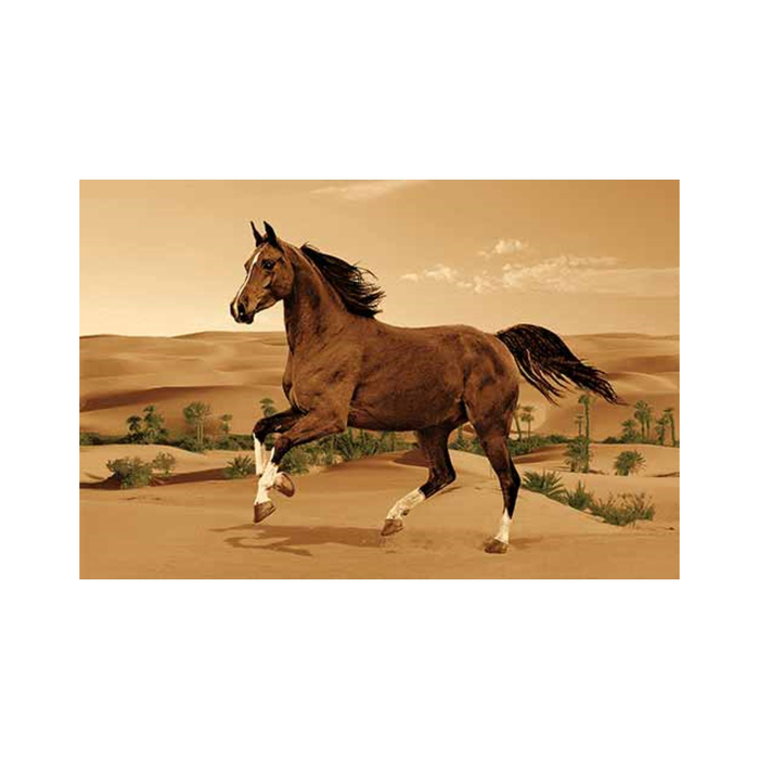 Ковер Heat-set DA VINCI z904, 2*1,4 м, прямоугольный, BROWN