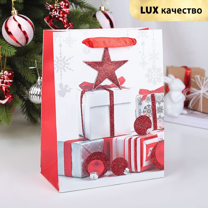 Пакет подарочный "Подарки", люкс, 18 х 9 х 23 см