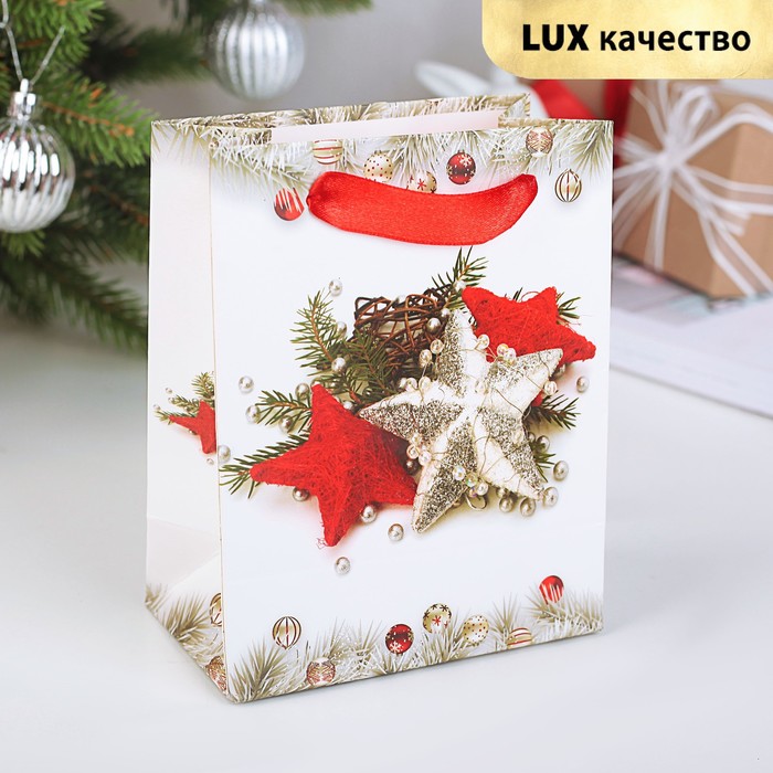 Пакет подарочный "Звёздочки", люкс, 11 х 6,5 х 14 см