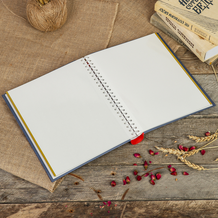 Фотоальбом магнитный 20 листов Image Art серия 26 23х28 см