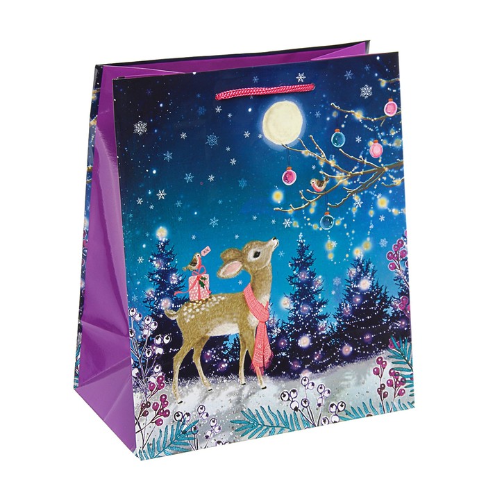 Пакет подарочный "Новогоднее чудо", 20 х 24 х10,2 см