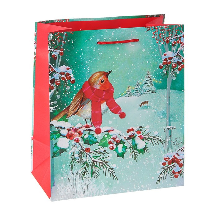 Пакет подарочный "А снег идёт", 20 х 24 х10,2 см