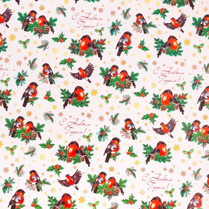 Бумага упаковочная глянцевая «Снегири на ветвях», 70 х 100 см