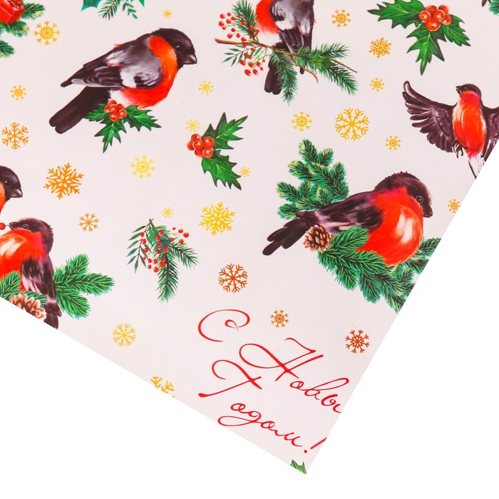 Бумага упаковочная глянцевая «Снегири на ветвях», 70 х 100 см