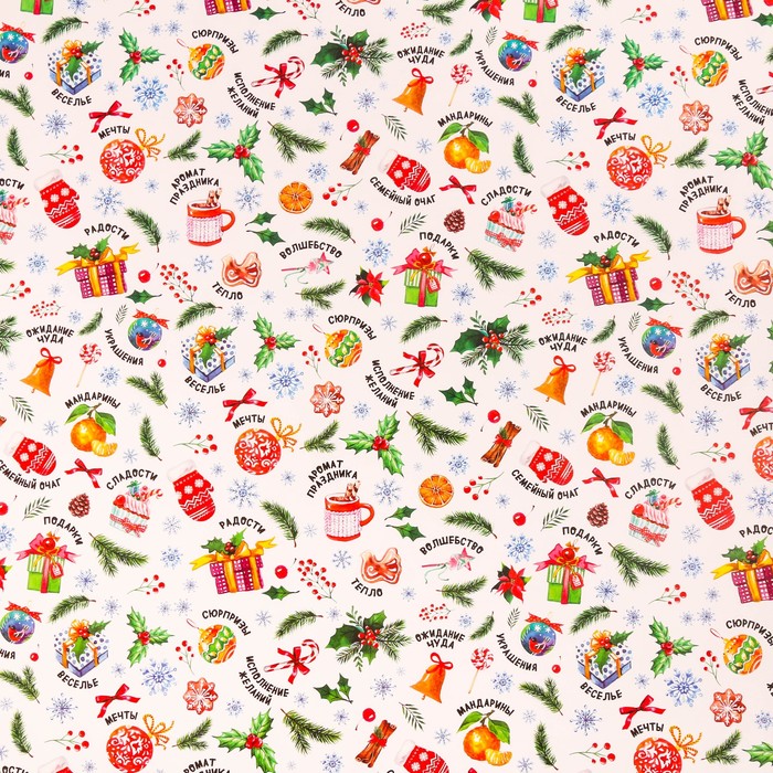 Бумага упаковочная глянцевая «Зимние мелочи», 70 х 100 см