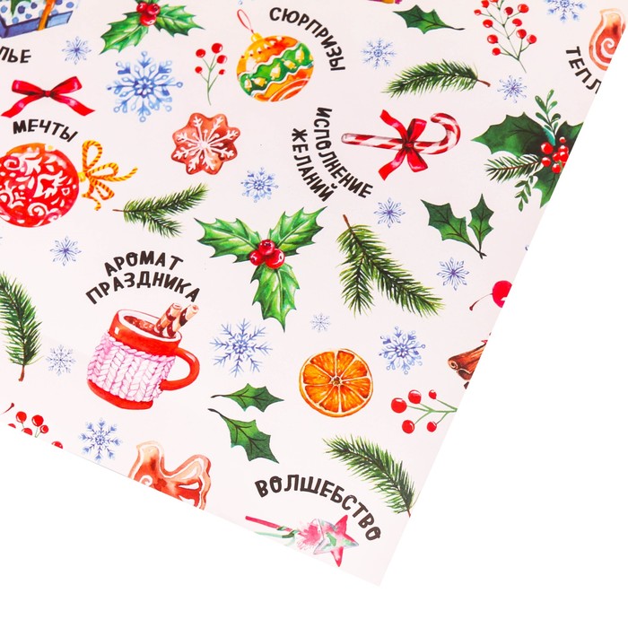 Бумага упаковочная глянцевая «Зимние мелочи», 70 х 100 см