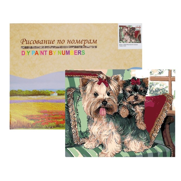 Картина по номерам "Йоркширские терьеры"