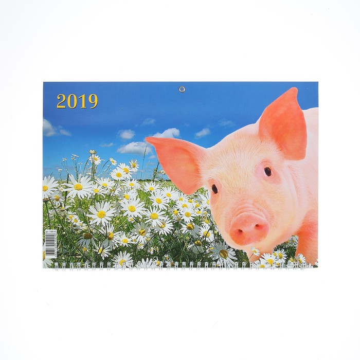 Календарь квартальный, трио "Символ года - 16" 2019 год, 31х69см