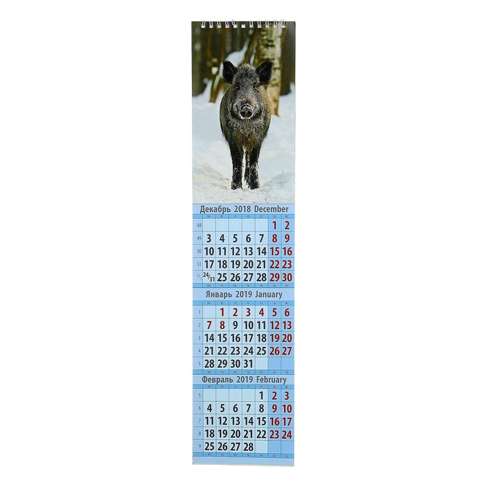 Календарь перекидной, ригель и пружина "Символ года - 2" 2019 год, 11х47,5см