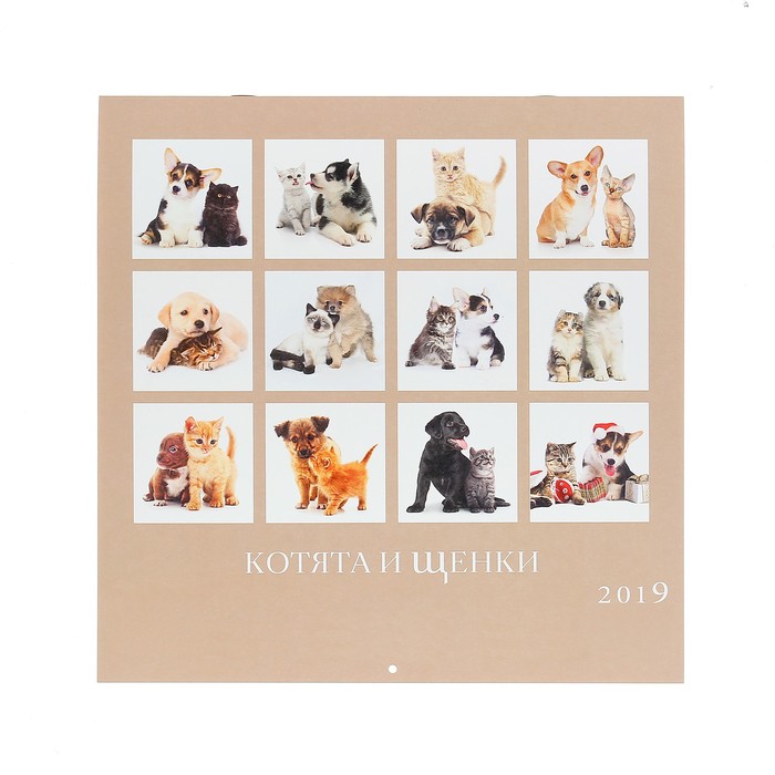 Календарь на скрепке "Котята и щенки" 2019 год, 28,5х28,5см