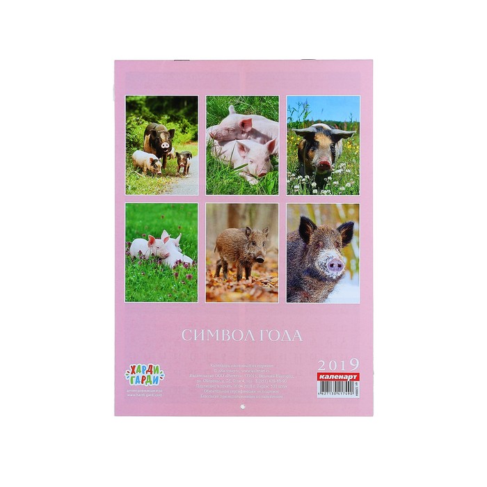 Календарь на скрепке "Символ года - 1" 2019 год, 21,5х29,5см