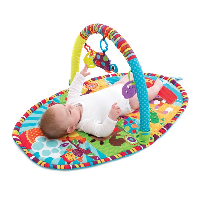 Игрушка активный центр Playgro "Прогулка"