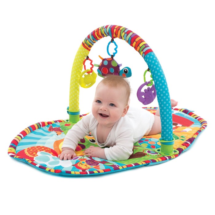 Игрушка активный центр Playgro "Прогулка"