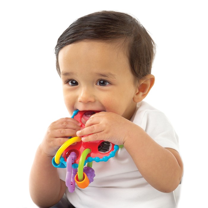 Игрушка-погремушка Playgro "Кольцевая"