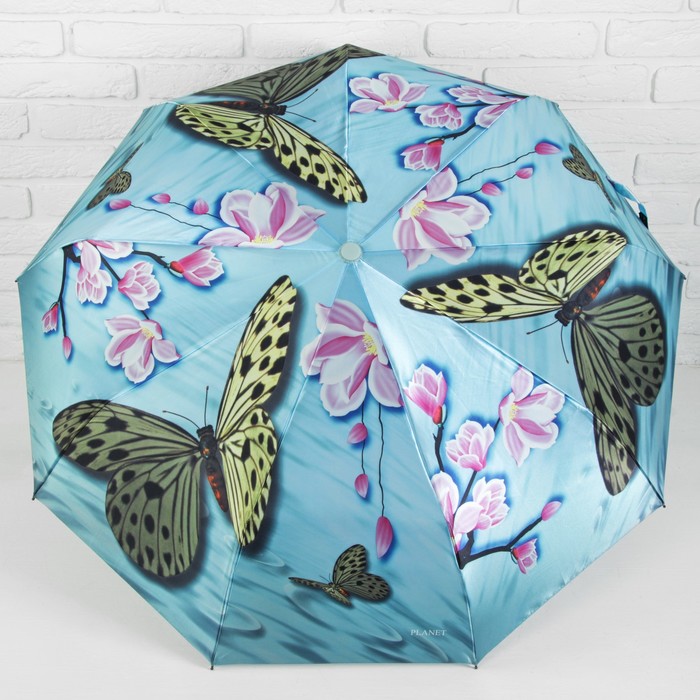 Зонт автоматический "Бабочки", R=51см, цвет голубой