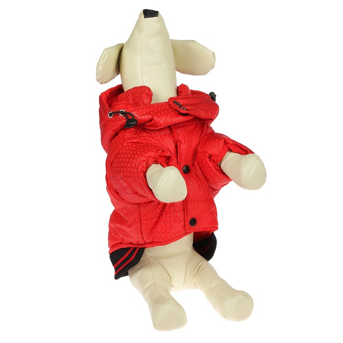 Куртка супертеплая на синтепоне с отстегивающимся капюшоном, размер М, розовая